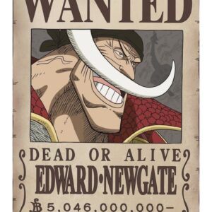 One Piece T-Shirt- 15